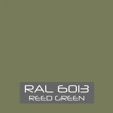 RAL 6013 Reed Green tinned Paint